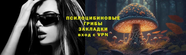 соль курить ск Белокуриха